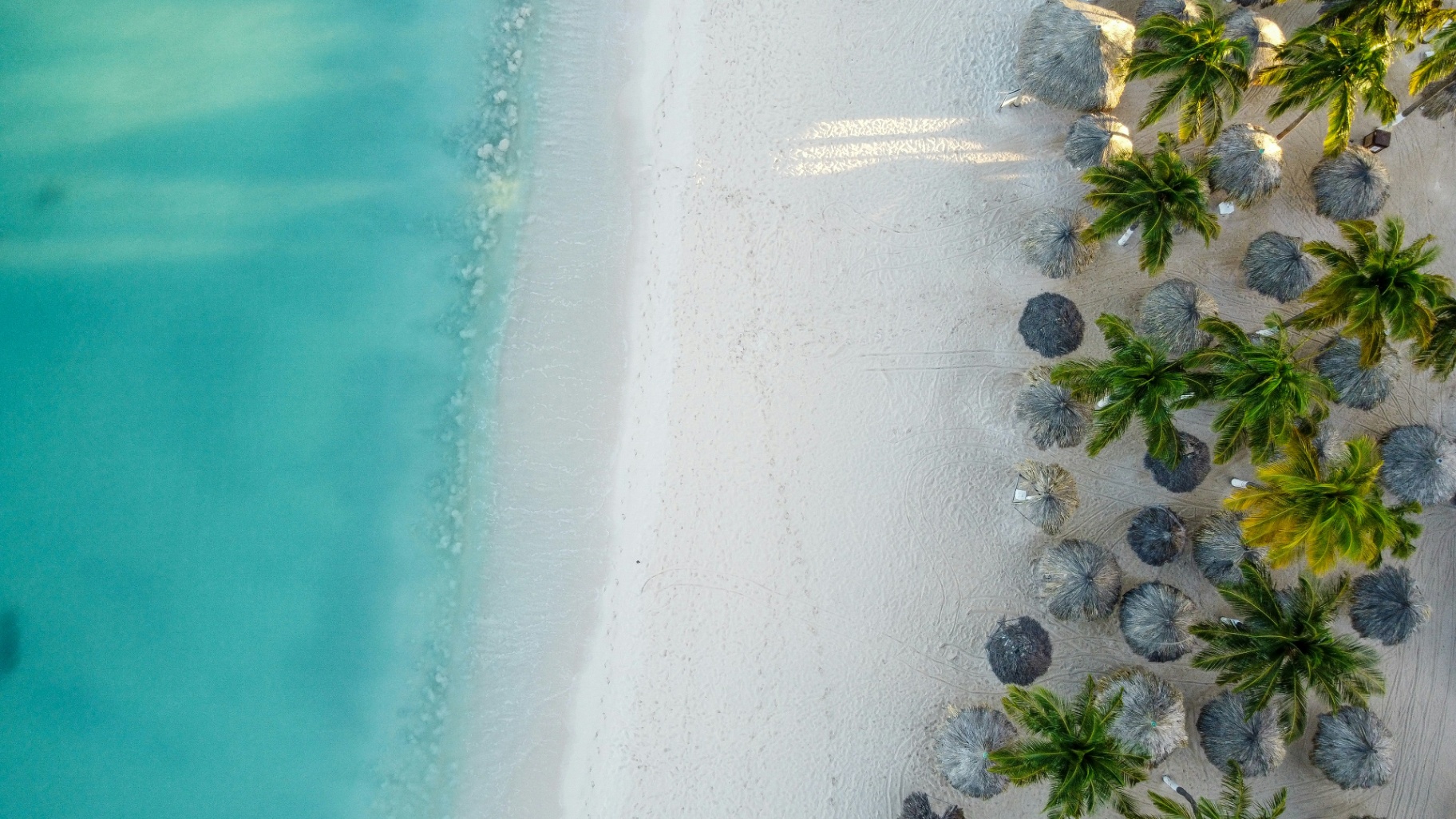 Eagle Beach Aruba, Wide white-sand beach with iconic thatched palapas.